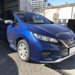 写真 2024-01-26 13 28 45.jpg　リーフ　T様