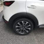 写真 2025-09-10 10 05 37