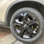 写真 2025-09-14 16 24 34