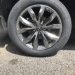 写真 2025-09-03 10 16 51