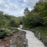 写真 2025-10-07 10 47 03