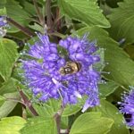 写真 2025-10-07 11 26 54