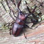 写真 2025-10-07 12 34 37