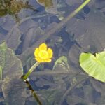 写真 2025-10-07 10 59 28