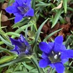 写真 2025-10-07 11 30 47