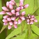 写真 2025-10-07 11 27 10