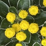 写真 2025-10-07 11 26 37