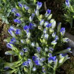 写真 2025-10-07 11 29 44