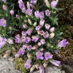 写真 2025-10-07 11 29 55