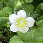 写真 2025-10-07 11 27 44