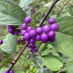 写真 2025-10-07 11 09 55