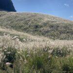 写真 2025-10-07 12 51 27