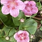 写真 2025-10-07 11 28 41