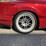 写真 2025-11-16 9 52 32